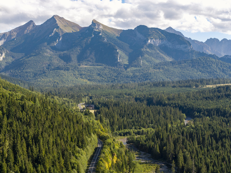 Aerial view of the Tatra Mountains with a winding road cutting through a dense coniferous forest under a bright sky in Poland. Aerial view of the Tatra Mountains with a winding road cutting through a dense coniferous forest under a bright sky in Poland.