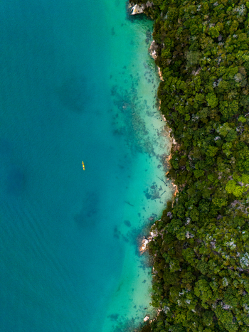 Aerial view of the coastline s lush green forest contrasting with the clear turquoise waters Abel Tasman National Park Tasman Region New Zealand. Aerial view of the coastline s lush green forest contrasting with the clear turquoise waters Abel Tasman National Park Tasman Region New Zealand.
