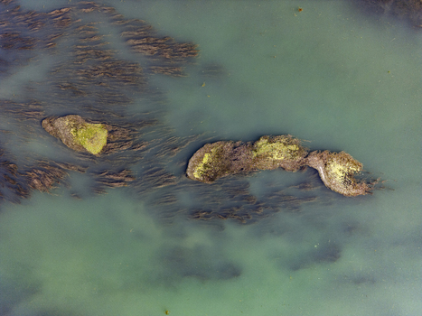 Aerial view of the Buna Drin River Confluence featuring clear greenish water and submerged aquatic vegetation in Zues Qarku i Shkodres Albania. Aerial view of the Buna Drin River Confluence featuring clear greenish water and submerged aquatic vegetation in Zues Qarku i Shkodres Albania.