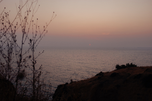 View of gentle waves lap against the shore under a soft pastel sky with silhouettes of dry plants and rocky cliffs framing the tranquil scene Chiplun Maharashtra India. View of gentle waves lap against the shore under a soft pastel sky with silhouettes of dry plants and rocky cliffs framing the tranquil scene Chiplun Maharashtra India.