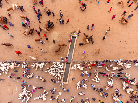 Aerial view of Kimana Animal Market with people tending to herds of cattle goats and sheep around a central water trough on the dusty ground in Kimana Kajiado County Kenya.