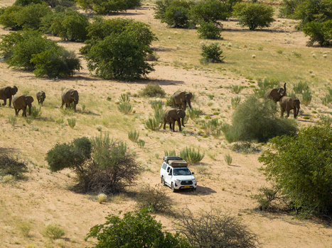 Aerial view of elephants roam freely across the arid landscape while a lone white jeep navigates the sandy terrain Uis Erongo Region Namibia.
