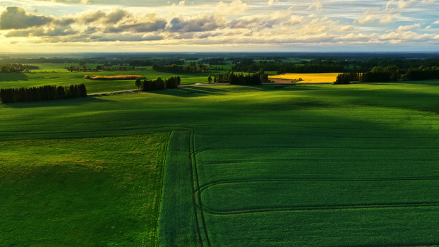 Aerial view of lush green fields and rolling landscape with rows of trees under a dramatic sunset sky in Latvia. Aerial view of lush green fields and rolling landscape with rows of trees under a dramatic sunset sky in Latvia.