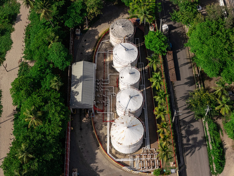 Aerial view of industrial storage tanks surrounded by lush palm trees and vegetation in Bajos de Haina San Cristobal Province Dominican Republic.