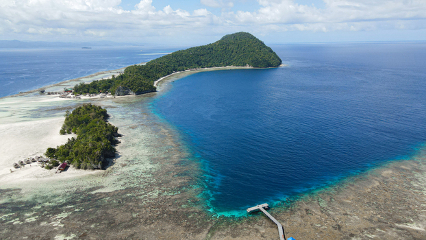 Aerial view of Raja Ampat islands with lush tropical vegetation white sand beaches turquoise coral reefs and a wooden pier in Raja Ampat Southwest Papua Indonesia.