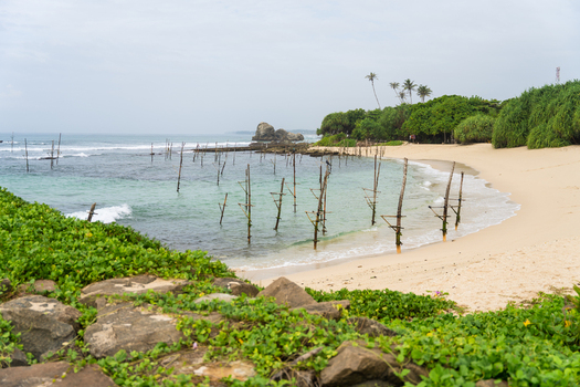 View of traditional stilt fishing poles standing in the turquoise ocean water near a sandy beach with lush tropical vegetation and palm trees Koggala Southern Province Sri Lanka. View of traditional stilt fishing poles standing in the turquoise ocean water near a sandy beach with lush tropical vegetation and palm trees Koggala Southern Province Sri Lanka.