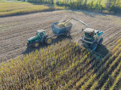 Green Bay Wisconsin United States 25 September 2026 Aerial view of a forage harvester chopping corn in a field and loading it into a trailer pulled by a tractor.