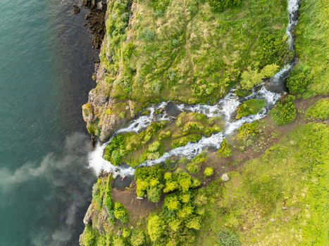 Aerial view of a waterfall cascading down a lush green cliff into the dark blue sea in Akureyri Akureyrarbaer Iceland.
