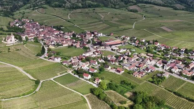 Aerial view of Ribeauville village and vineyards France. Aerial view of Ribeauville village and vineyards France.