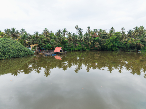 Aerial view of a tropical riverbank with lush palm trees and a small red roofed wooden hut reflecting on calm water in Galle Southern Province Sri Lanka. Aerial view of a tropical riverbank with lush palm trees and a small red roofed wooden hut reflecting on calm water in Galle Southern Province Sri Lanka.