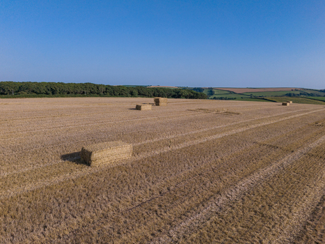 Aerial view of freshly harvested agricultural fields with straw bales scattered across the landscape bordered by green hedgerows and rolling hills in Looe Cornwall United Kingdom. Aerial view of freshly harvested agricultural fields with straw bales scattered across the landscape bordered by green hedgerows and rolling hills in Looe Cornwall United Kingdom.