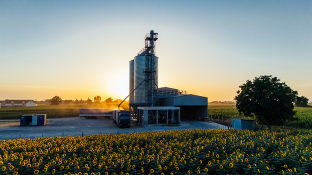 Aerial view of grain silos in a field of sunflowers at sunset with a truck being loaded in Sremska Mitrovica Vojvodina Serbia.