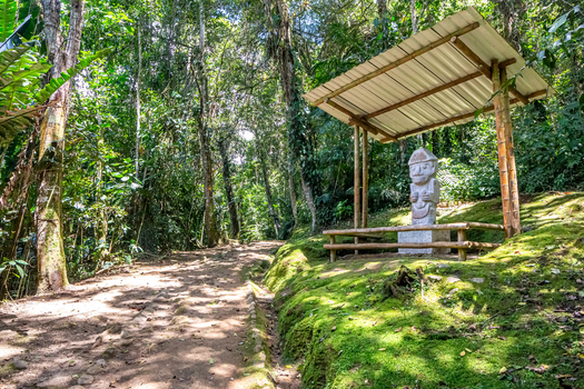 View of a pre Columbian stone statue protected by a wooden shelter in the lush mossy forest of San Agustin Archaeological Park in San Agustin Huila Colombia.
