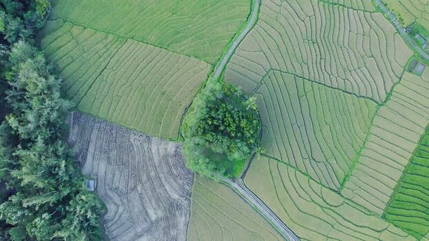 Aerial view of terraced rice fields and lush greenery Indonesia. Aerial view of terraced rice fields and lush greenery Indonesia.