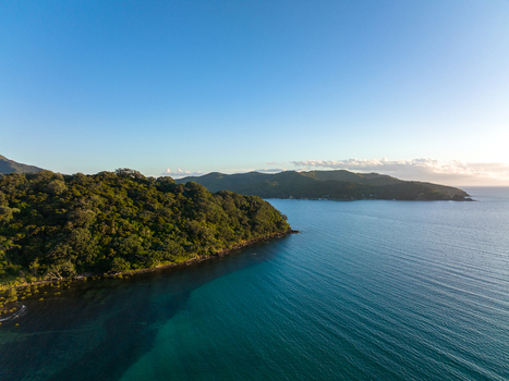 Aerial view of the lush green coastline meeting the calm blue waters of the sea under a clear sky in Great Barrier Island New Zealand. Aerial view of the lush green coastline meeting the calm blue waters of the sea under a clear sky in Great Barrier Island New Zealand.