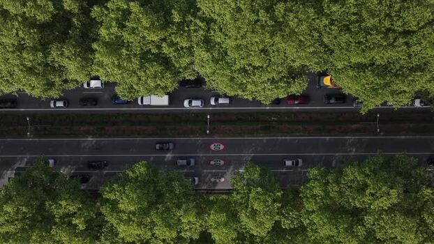 Aerial view of road with trees Porto Portugal.