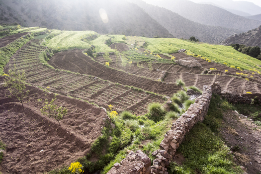 View of lush green terraced agricultural fields on a mountain slope with stone walls and misty peaks under bright sunlight in Tizi Oussem Marrakech Safi Morocco. View of lush green terraced agricultural fields on a mountain slope with stone walls and misty peaks under bright sunlight in Tizi Oussem Marrakech Safi Morocco.