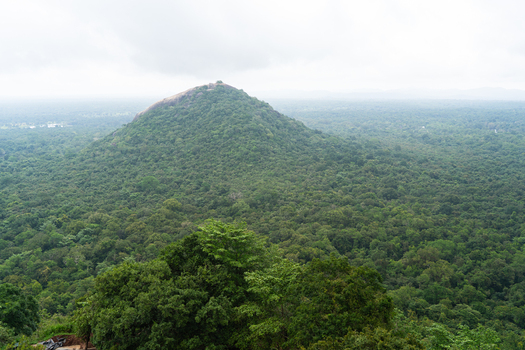 View of Pidurangala Rock rising above the dense tropical forest canopy under a cloudy sky in Sigiriya Central Province Sri Lanka. View of Pidurangala Rock rising above the dense tropical forest canopy under a cloudy sky in Sigiriya Central Province Sri Lanka.