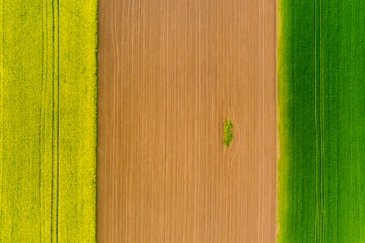 Aerial view of over Bulgarian Lavender fields in summer time