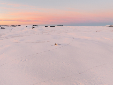 Aerial view of a serene snow covered expanse kissed by the soft hues of dawn with distant cabin against the pastel sky Nasbinals Occitanie France.