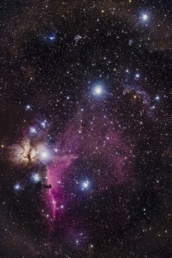 View of the Orion Nebula complex featuring the Horsehead Nebula the Flame Nebula and the bright star Alnitak set against a dense field of stars in the night sky of Poland. View of the Orion Nebula complex featuring the Horsehead Nebula the Flame Nebula and the bright star Alnitak set against a dense field of stars in the night sky of Poland.
