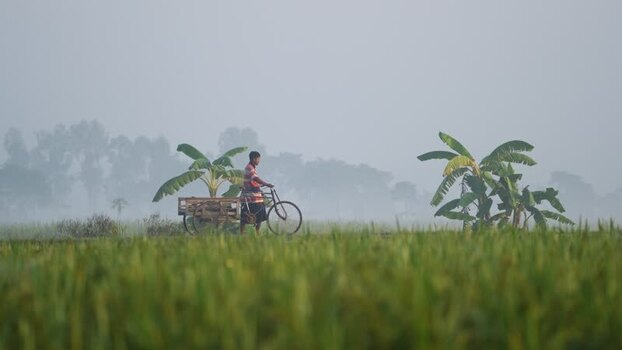 View of a man pushing a bicycle cart through misty fields Bangladesh.