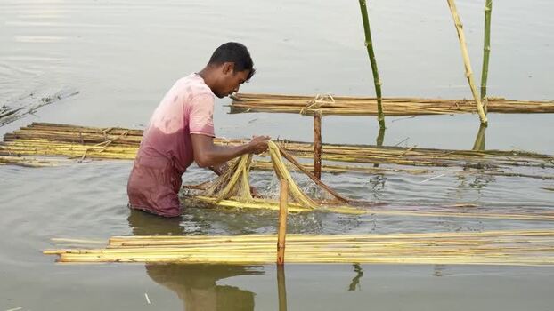 View of a man washing jute fibers in Jamalpur Bangladesh.