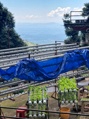 View of a hydroponic farming system with PVC pipes and green leafy vegetables set against a backdrop of mountains in Malana Himachal Pradesh India.