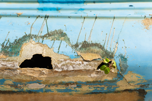 View of the weathered blue hull of an old boat featuring peeling paint a small hole and a tiny green plant growing from a crack in Galle Southern Province Sri Lanka.