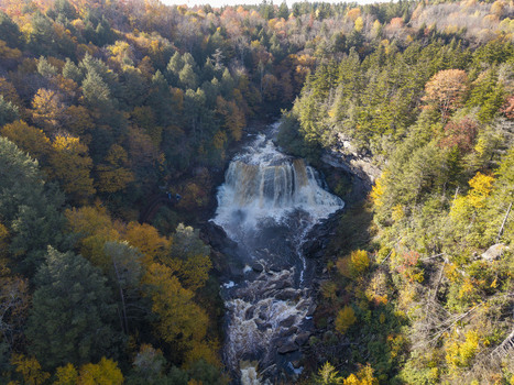 Aerial view of Blackwater Falls in Blackwater Falls State Park surrounded by vibrant autumn foliage in Davis West Virginia United States.