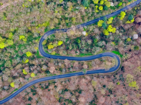 Aerial view of a winding road snaking through vibrant green and brown forests a tapestry of nature s hues Kintzheim Grand Est France.