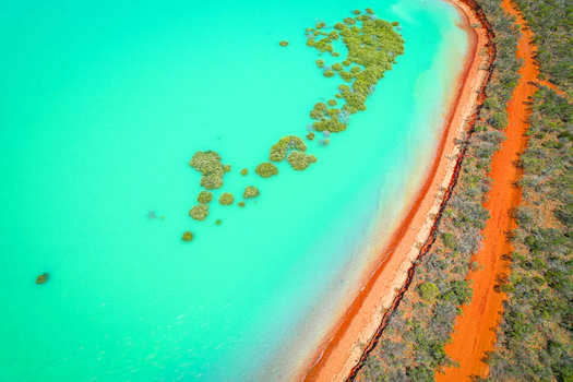Aerial view of turquoise coastal waters with vibrant green mangroves and striking red earth cliffs along the shoreline in Broome Western Australia Australia.