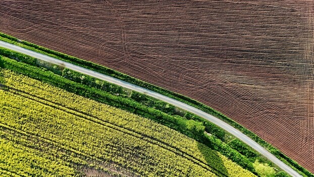 Aerial view of vibrant yellow rapeseed fields and dark plowed soil separated by a narrow rural road and green trees in Butlar Thuringen Germany. Aerial view of vibrant yellow rapeseed fields and dark plowed soil separated by a narrow rural road and green trees in Butlar Thuringen Germany.