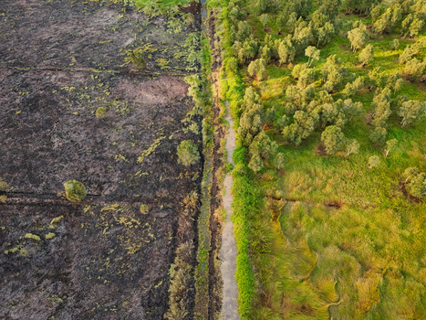 Aerial view of a landscape divided by a path showing the contrast between scorched burnt land on one side and lush green forest on the other in Banjarbaru South Kalimantan Indonesia.