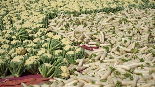 View of cauliflower and white radishes at a market Bangladesh.