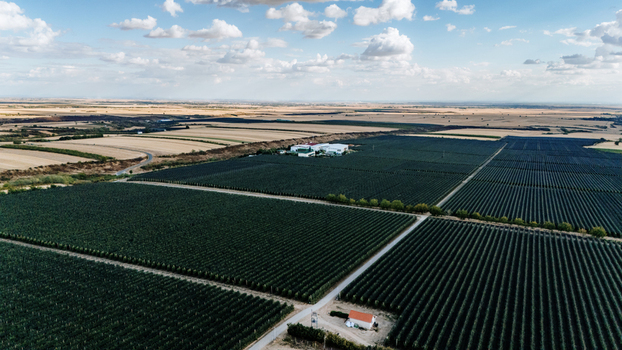 Aerial view of the Deuric winery and extensive fruit orchards with neat rows of trees surrounded by agricultural fields in Mala Remeta Vojvodina Serbia. Aerial view of the Deuric winery and extensive fruit orchards with neat rows of trees surrounded by agricultural fields in Mala Remeta Vojvodina Serbia.
