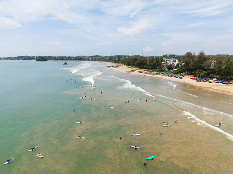 Aerial view of surfers catching waves along the sandy shoreline of Weligama Beach with lush tropical trees and coastal buildings Weligama Southern Province Sri Lanka.