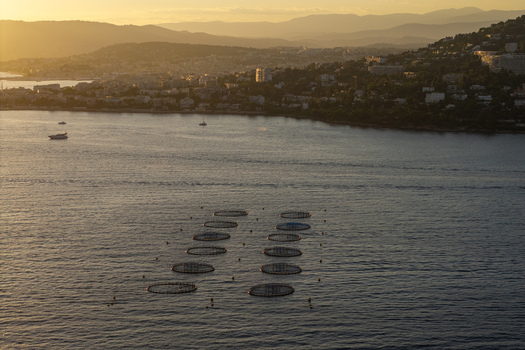 Aerial view of fish farming cages in the Mediterranean Sea off the coast with the town skyline and hills visible in the golden hour light Antibes Provence Alpes Cote d Azur France. Aerial view of fish farming cages in the Mediterranean Sea off the coast with the town skyline and hills visible in the golden hour light Antibes Provence Alpes Cote d Azur France.