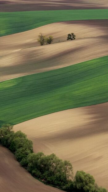 Aerial view of rolling agricultural fields in Czechia.
