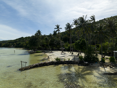 Aerial view of Bobby Beach with its dazzling turquoise waters meeting the soft pale sands beneath the swaying silhouettes of palm trees Karimunjawa Central Java Indonesia.