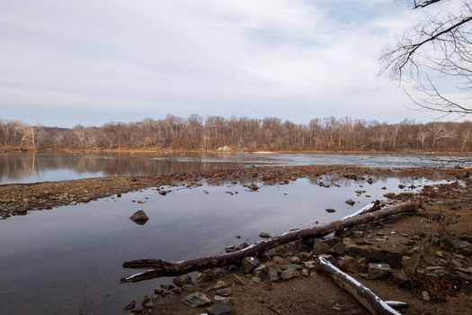 View of calm waters reflecting the overcast sky with fallen logs and rocks scattered along the shore and bare trees lining the horizon Scott s Run Virginia United States. View of calm waters reflecting the overcast sky with fallen logs and rocks scattered along the shore and bare trees lining the horizon Scott s Run Virginia United States.