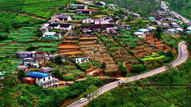 Aerial view of a village in the tea plantations of Sri Lanka.