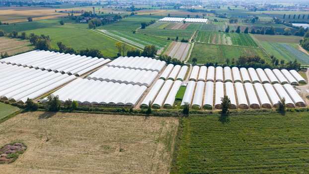 Aerial view of rows of white plastic greenhouses for vegetable cultivation in San Giuliano Milanese Lombardy Italy. Aerial view of rows of white plastic greenhouses for vegetable cultivation in San Giuliano Milanese Lombardy Italy.