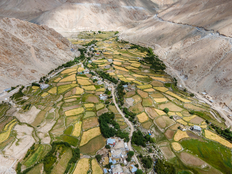 Aerial view of terraced agricultural fields nestled in a mountain valley with small village houses and winding dirt roads in Ladakh Division Ladakh India. Aerial view of terraced agricultural fields nestled in a mountain valley with small village houses and winding dirt roads in Ladakh Division Ladakh India.