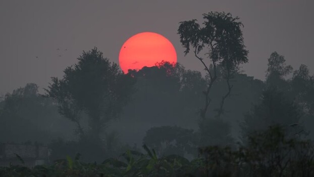 View of a large red sun setting behind silhouetted trees Bangladesh. View of a large red sun setting behind silhouetted trees Bangladesh.