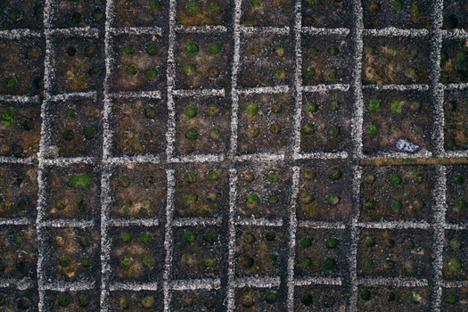 Aerial view of traditional vineyards with volcanic stone walls and green vines in a rectangular grid pattern Biscoitos Azores Portugal. Aerial view of traditional vineyards with volcanic stone walls and green vines in a rectangular grid pattern Biscoitos Azores Portugal.