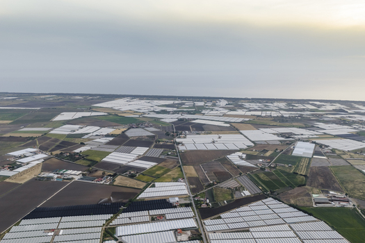 Aerial view of a vast agricultural landscape with numerous greenhouses and cultivated fields under a hazy sky in Paestum Campania Italy.