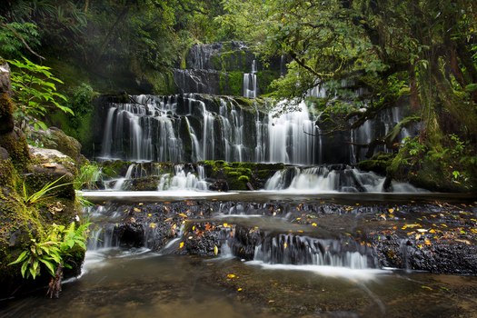 View of the multi tiered Purakaunui Falls cascading over mossy rocks within a lush temperate rainforest in Purakaunui Otago Region New Zealand.
