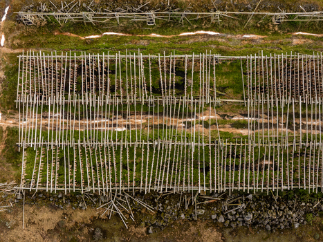 Aerial view of traditional wooden fish drying racks set over green grass and rocky terrain in Iceland. Aerial view of traditional wooden fish drying racks set over green grass and rocky terrain in Iceland.
