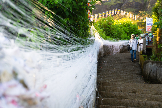 Ratnapura Sri Lanka 23 February 2026 View of the stone steps of Adam s Peak lined with white ritual threads and Buddhist flags as pilgrims ascend through lush greenery.